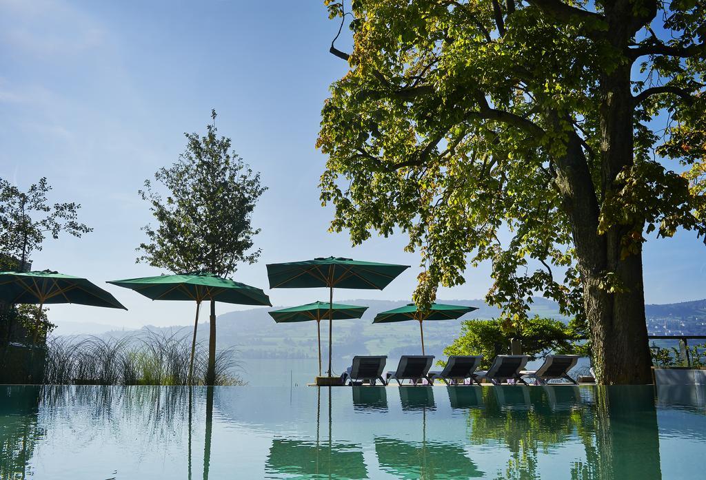 Seerose Resort & Spa Meisterschwanden Kültér fotó